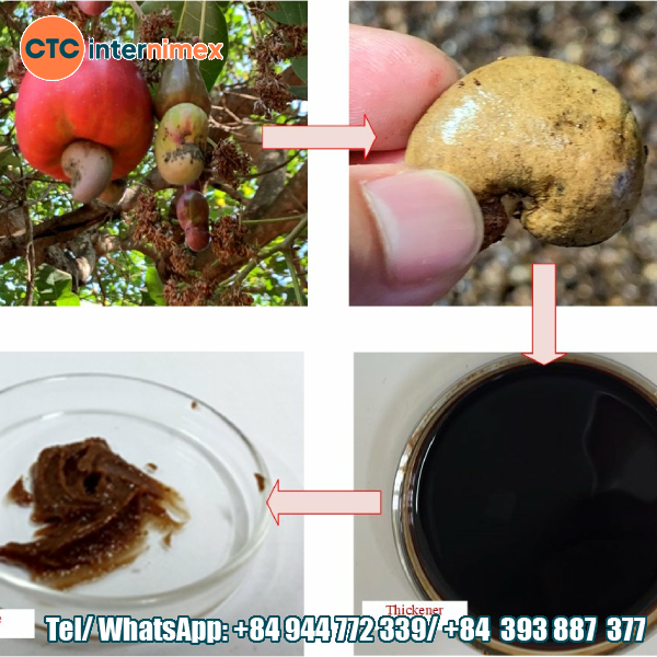Applications Of Cashew Nut Shell Oil In Industry And Medicine